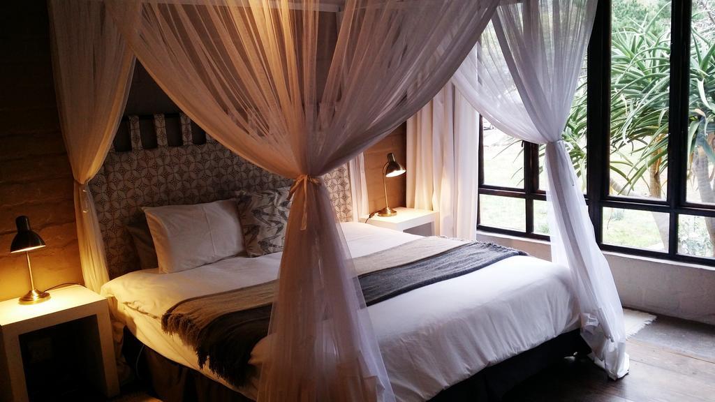 Hornbill House Self Catering Accommodation Hermanus Rum bild
