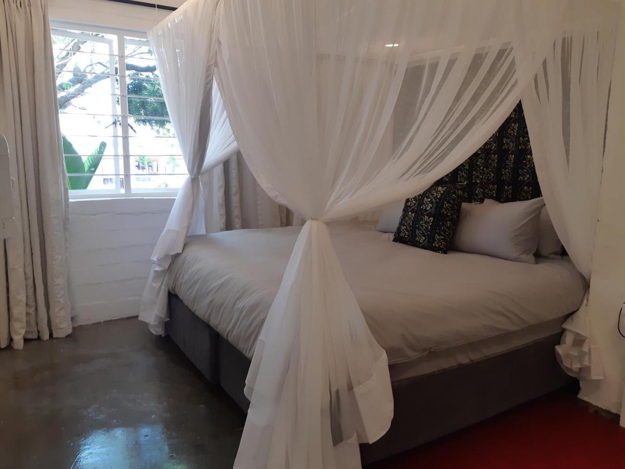 Hornbill House Self Catering Accommodation Hermanus Exteriör bild